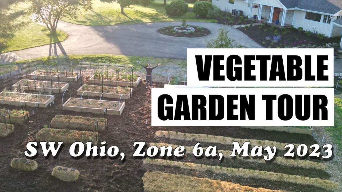 Vegetable Garden Walkthrough – Zona 6a – SW Ohio – May 2023 Vegetable Garden Walkthrough - Zona 6a - SW Ohio - May 2023