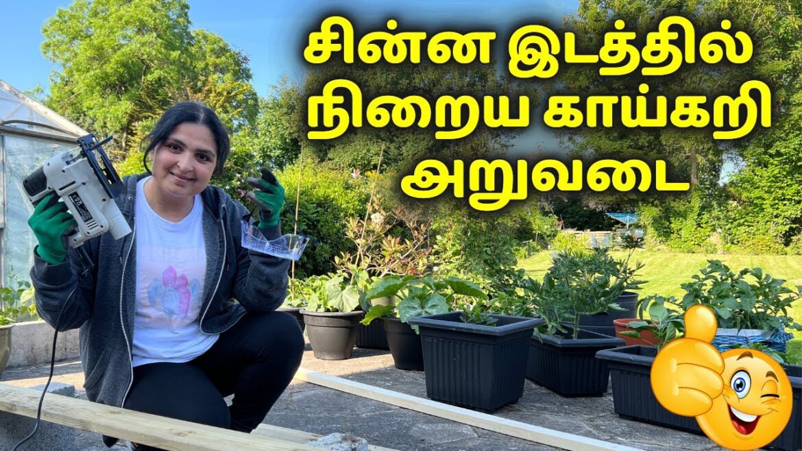 Build Easy Raised Garden Bed / மேட்டுப்பாத்தி செய்ய Easy Method – Vegetable Gardening ideas #garden Build Easy Raised Garden Bed / மேட்டுப்பாத்தி செய்ய Easy Method - Vegetable Gardening ideas #garden