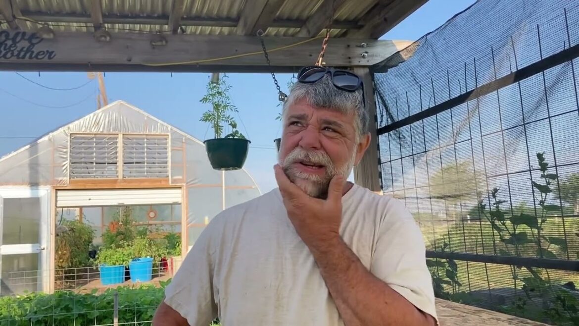 Review of VEVOR Shade Canopy! Great for Chicken Coops! Review of VEVOR Shade Canopy! Great for Chicken Coops!