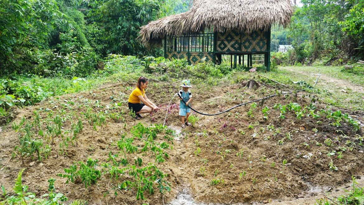 Single mother and daughter vegetable gardening, grow vegetable – Single mom building farm Single mother and daughter vegetable gardening, grow vegetable - Single mom building farm