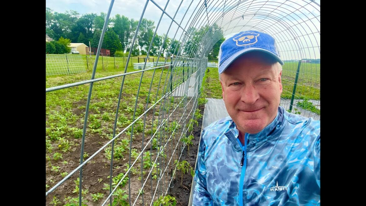 2023 Vegetable Garden Tour #3 – Zone 4B | The Plants Are Growing & So Are The Weeds 2023 Vegetable Garden Tour #3 - Zone 4B | The Plants Are Growing & So Are The Weeds