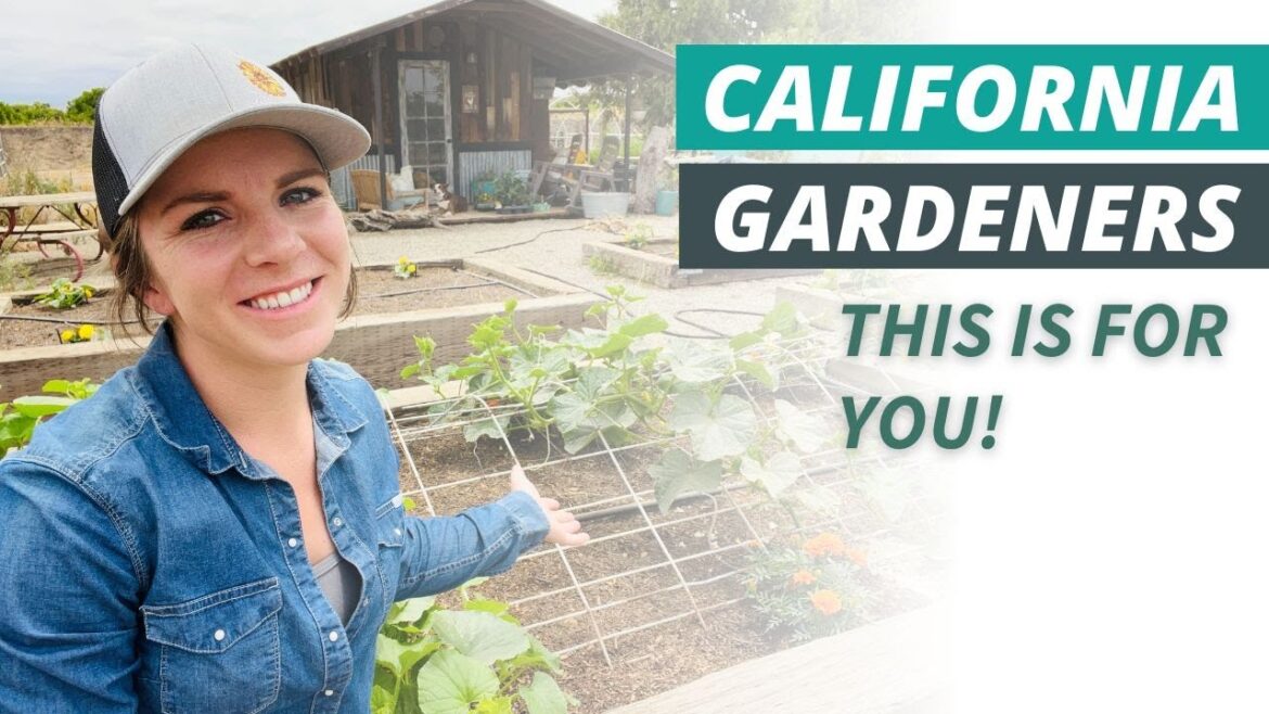 5 Must-Have Tips for California Vegetable Gardeners in Zone 9! 5 Must-Have Tips for California Vegetable Gardeners in Zone 9!