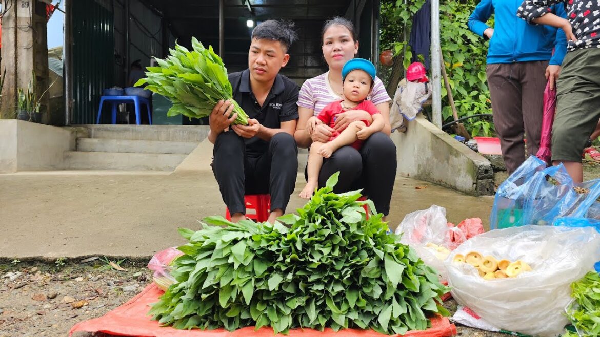 Harvest the vegetable garden at the farm bring it goes to the market to sell – Hà Tòn Chài Harvest the vegetable garden at the farm bring it goes to the market to sell - Hà Tòn Chài