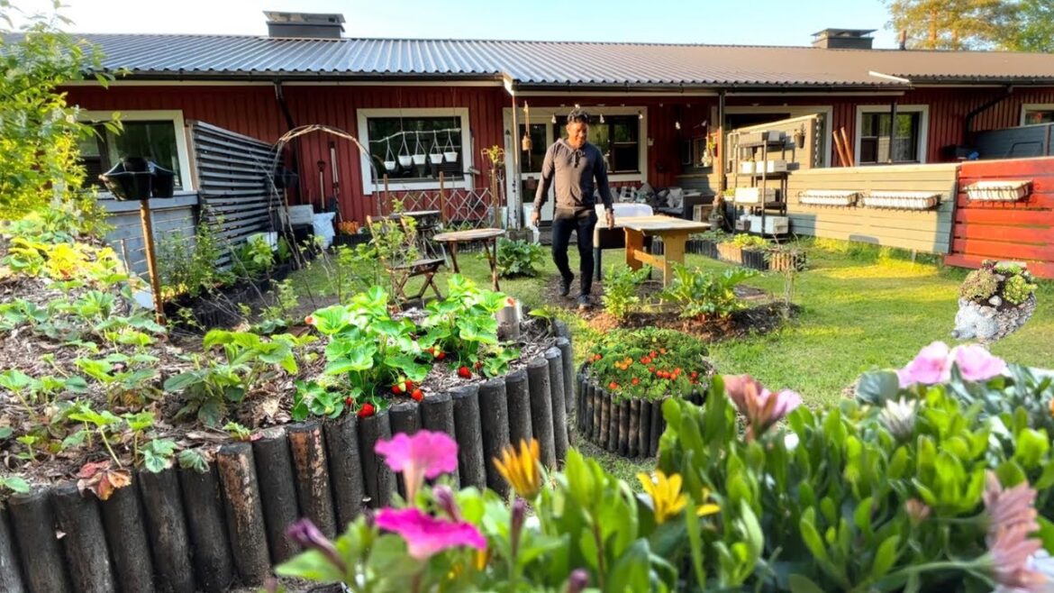 ALIS PAGOD TANIMAN!!! GULAYAN!!! GANITO NA PO!!! Vegetable Gardening! Garden.