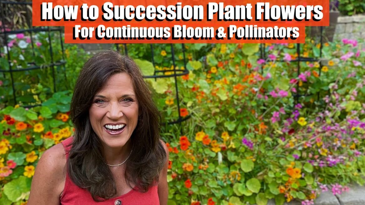 Succession Planting Flowers in Your Vegetable Garden for Continuous Bloom & to Bring in Pollinators Succession Planting Flowers in Your Vegetable Garden for Continuous Bloom & to Bring in Pollinators