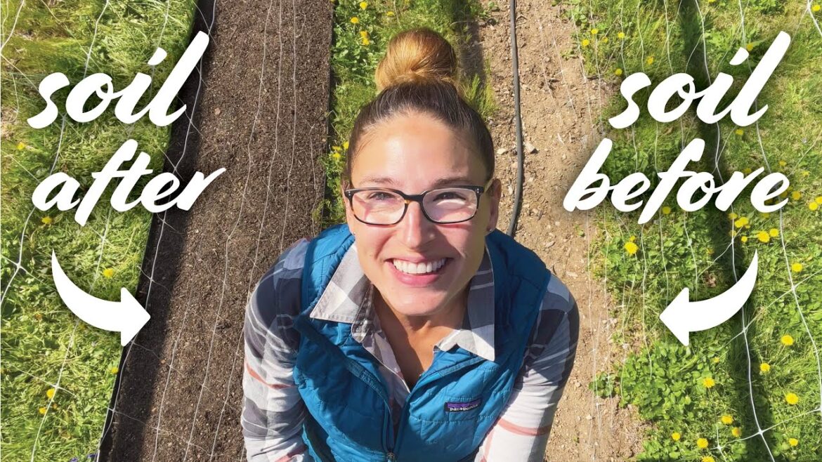 My Vegetable Garden Soil Preparation Routine (pH, Fertilizer, Amendments, Edging) My Vegetable Garden Soil Preparation Routine (pH, Fertilizer, Amendments, Edging)