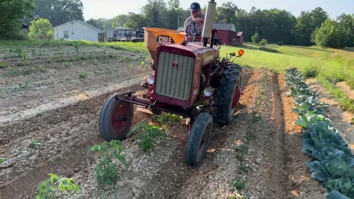 Working in The Vegetable Garden Working in The Vegetable Garden