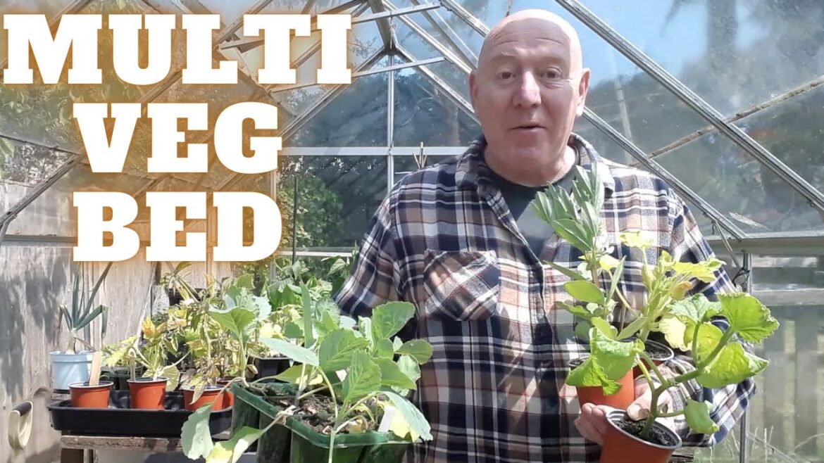 Multi Vegetable Bed [Gardening Allotment UK] [Grow Vegetables At Home ]