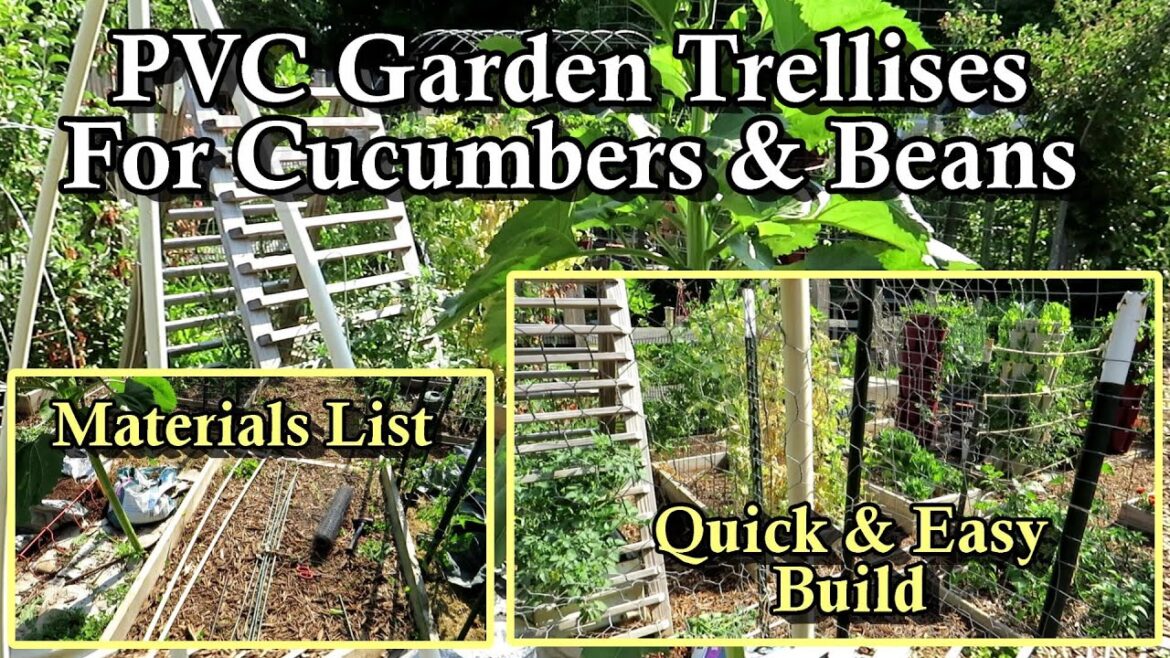 How to Make a Cucumber & Bean Trellis for Your Garden: Easy & Quick Build, Mobile, and Inexpensive How to Make a Cucumber & Bean Trellis for Your Garden: Easy & Quick Build, Mobile, and Inexpensive