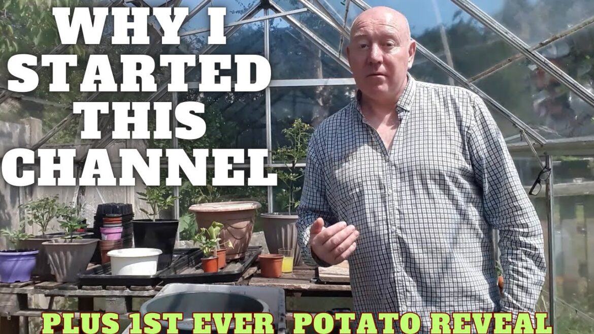 Why I Started A Gardening Channel  [Gardening Allotment UK] [Grow Vegetables At Home ]