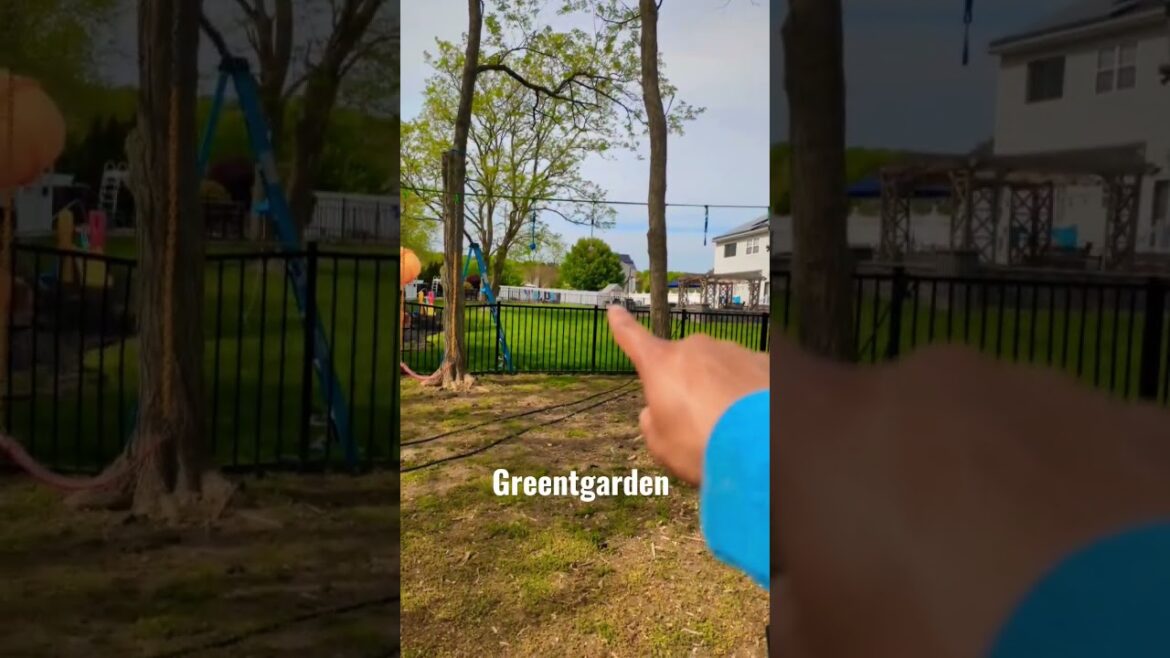 My 2nd Vegetable Garden ! New York! #shorts - Greentgarden