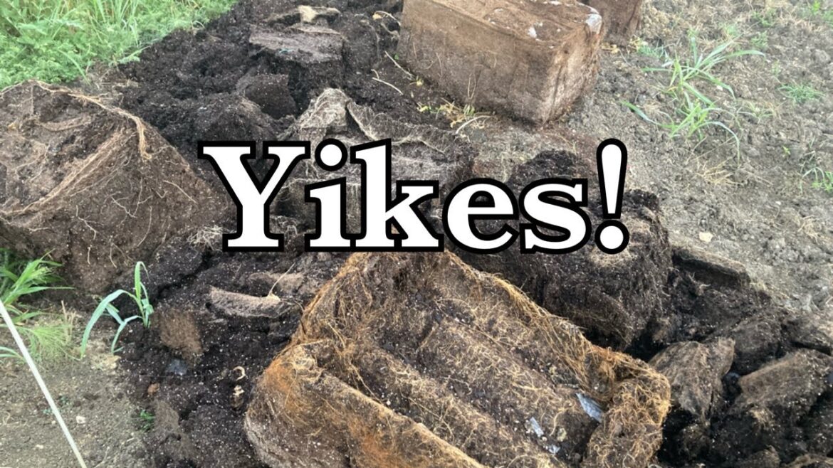 The DIRT-Y truth about container gardening. What you need to do. The DIRT-Y truth about container gardening. What you need to do.