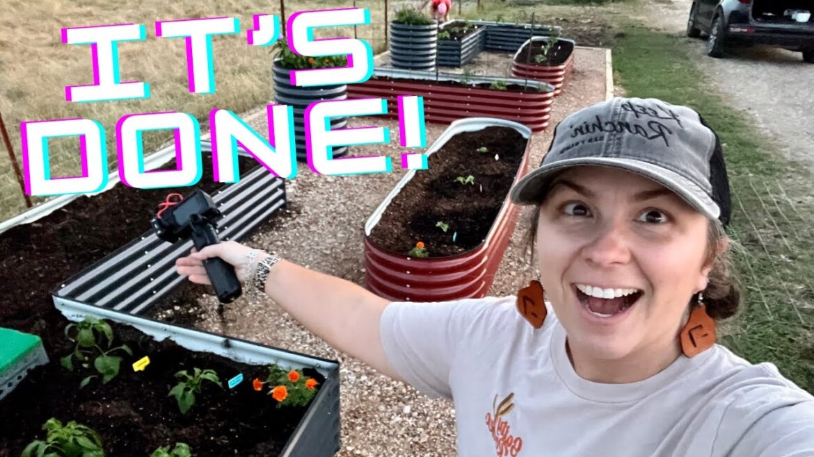 How We Planted our Raised Bed Vegetable Garden