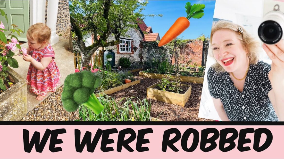 Vegetable garden update!! We had a robbery!!! UK vegetable patch TOUR Vegetable garden update!! We had a robbery!!! UK vegetable patch TOUR