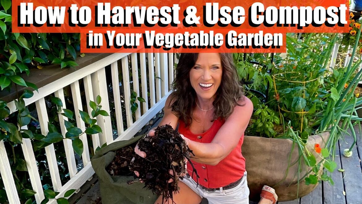How to Harvest and Use Compost in Your Vegetable Garden How to Harvest and Use Compost in Your Vegetable Garden