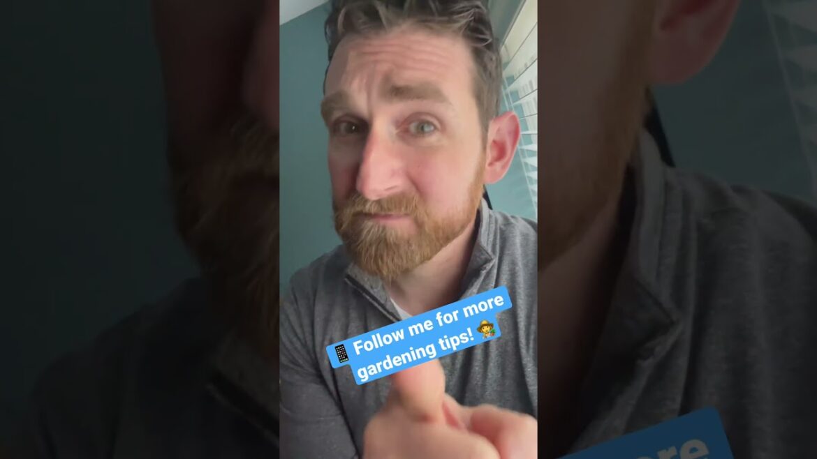 Five vegetables you can easily grow in pots! ￼#gardening #gardeningtips #tips #easy