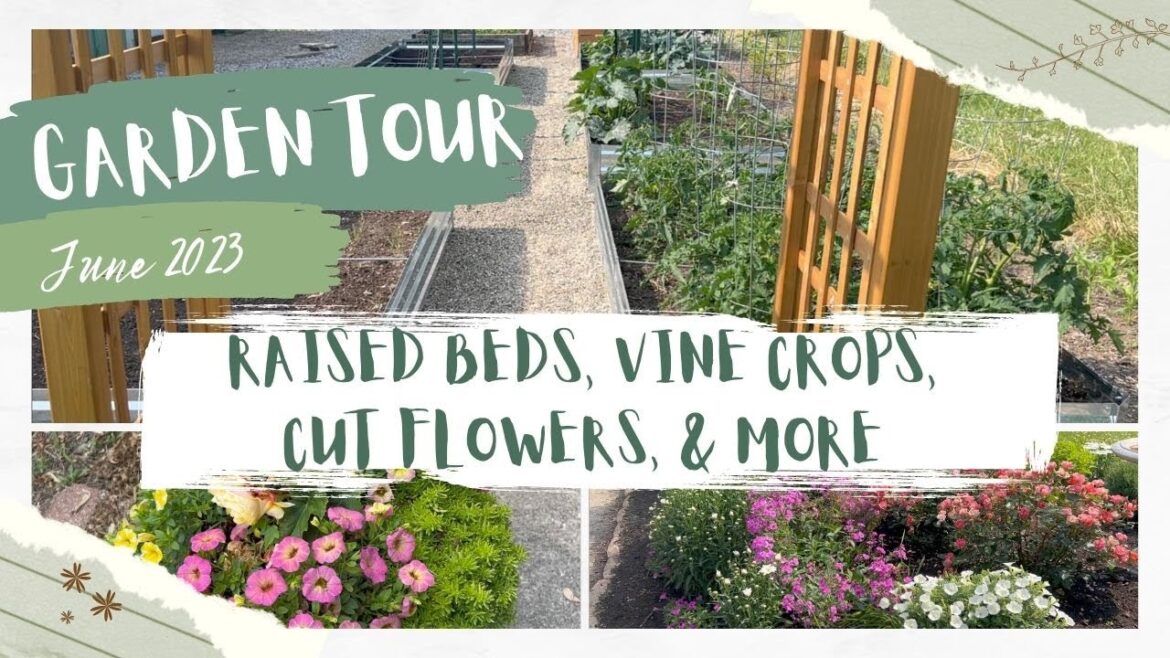 June Garden Tour! | Raised Bed Vegetable Garden, Vine Crops, Cut Flowers and more June Garden Tour! | Raised Bed Vegetable Garden, Vine Crops, Cut Flowers and more