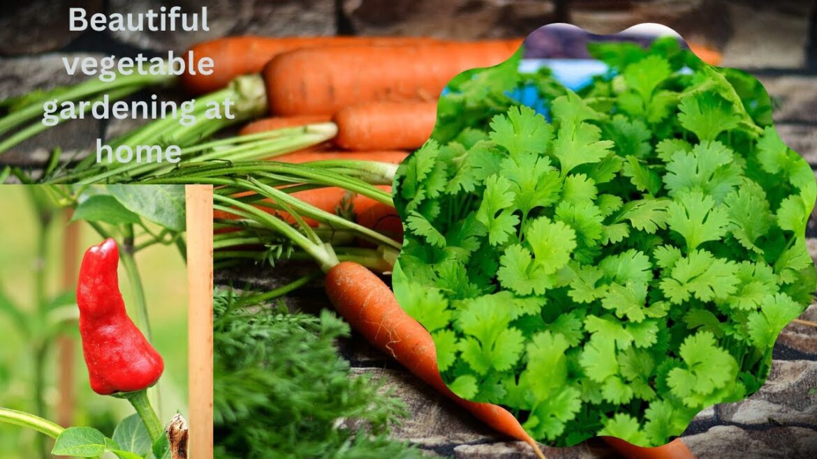 Beautiful vegetable gardening at home in small space