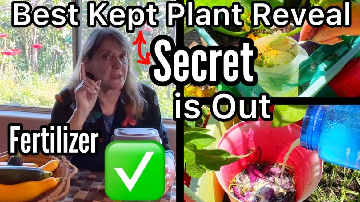 AMAZING Garden Fertilizer, Container Gardening, Raised Bed Garden, HIGH Yield, for Vegetable Plants AMAZING Garden Fertilizer, Container Gardening, Raised Bed Garden, HIGH Yield, for Vegetable Plants