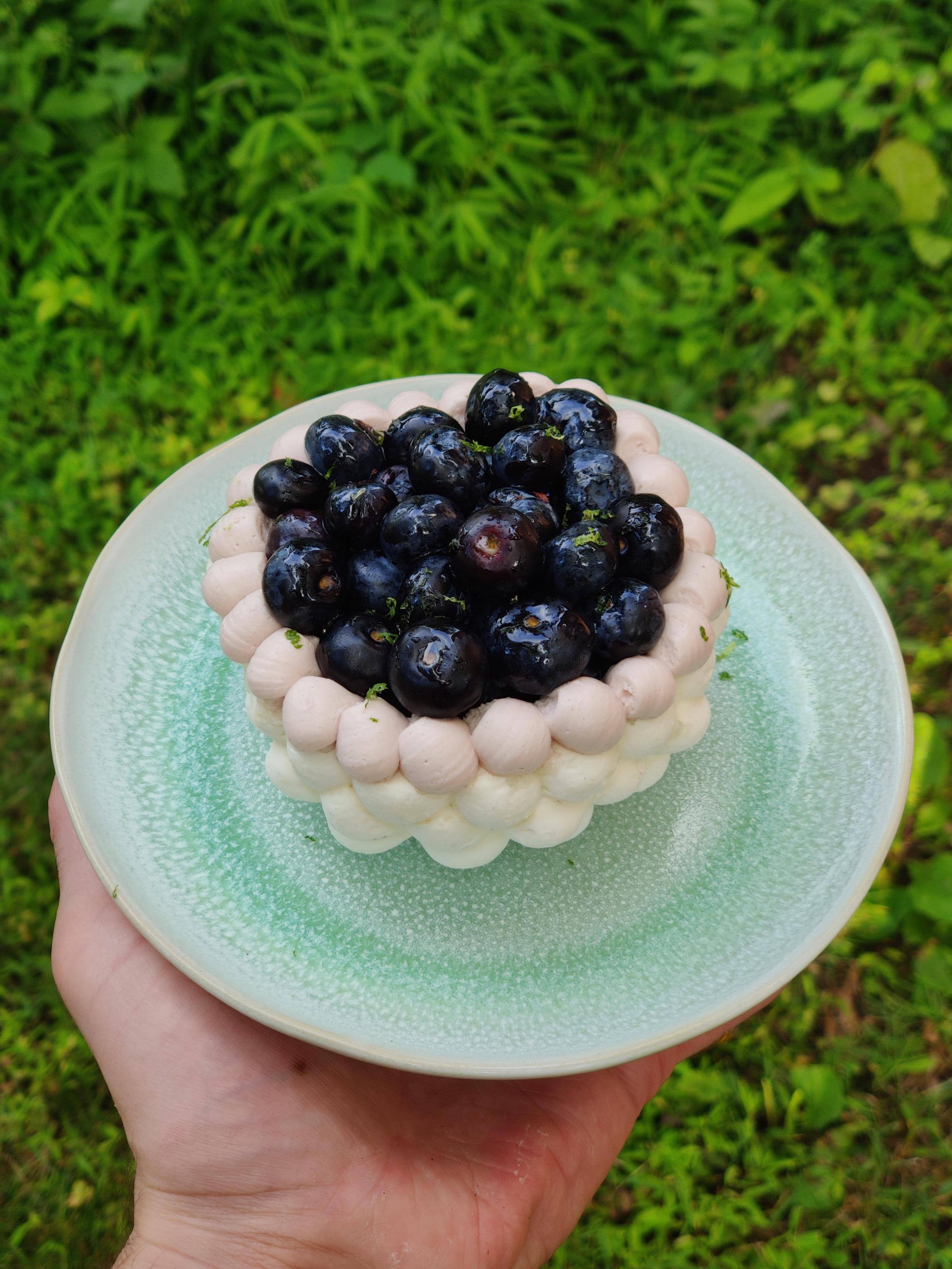 [Homemade] Blueberry lemon pavlova with whipped ruby chocolate ganache ...