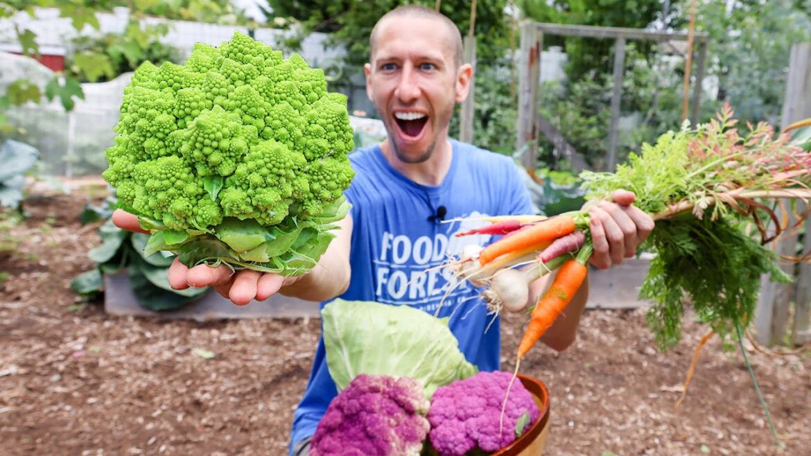 Permaculture Garden Harvest | Organic BACKYARD Gardening at it’s Best Permaculture Garden Harvest | Organic BACKYARD Gardening at it's Best