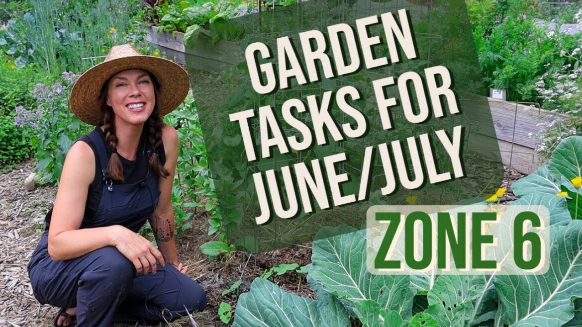 Vegetable Garden Tasks for Early/Mid Summer: Zone 6 Vegetable Garden Tasks for Early/Mid Summer: Zone 6