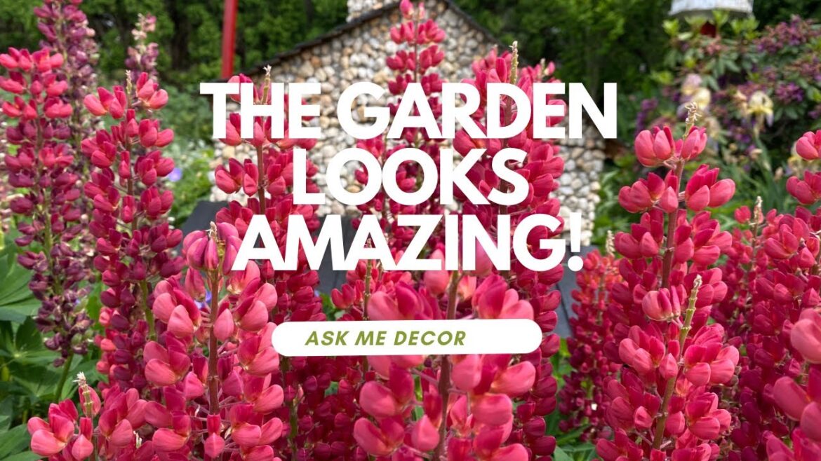 The Garden looks Amazing!!!!!