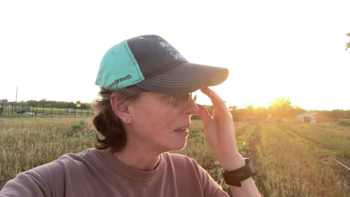 Is the Farm Finished?