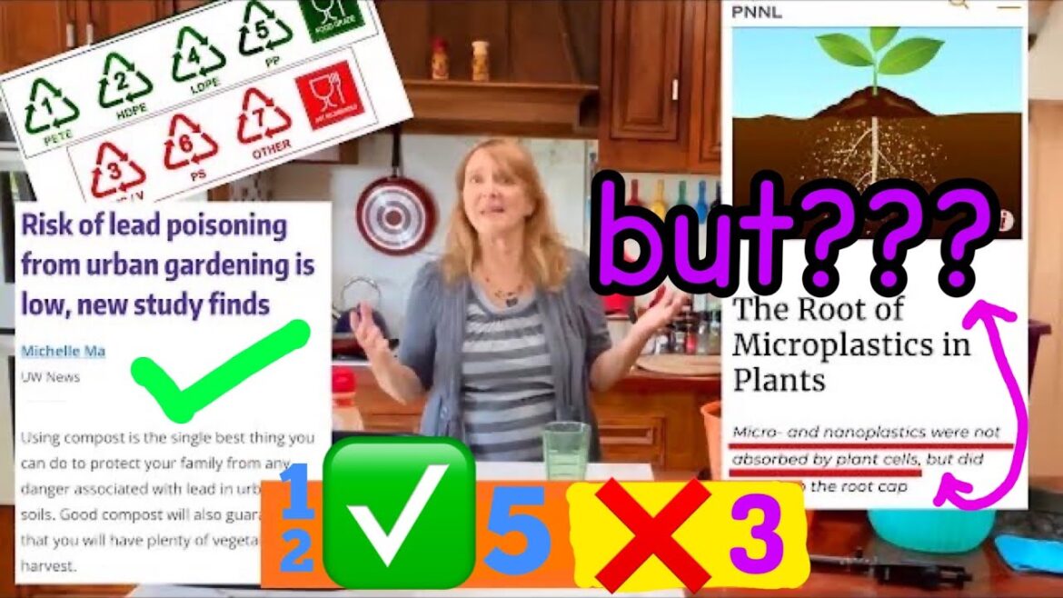 What You Need To Know Before Growing In Plastic Container Garden Vegetable Gardening Tote Bucket Pot What You Need To Know Before Growing In Plastic Container Garden Vegetable Gardening Tote Bucket Pot