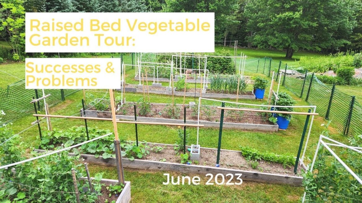 Raised Bed Vegetable Garden Tour: Successes and Problems Raised Bed Vegetable Garden Tour: Successes and Problems
