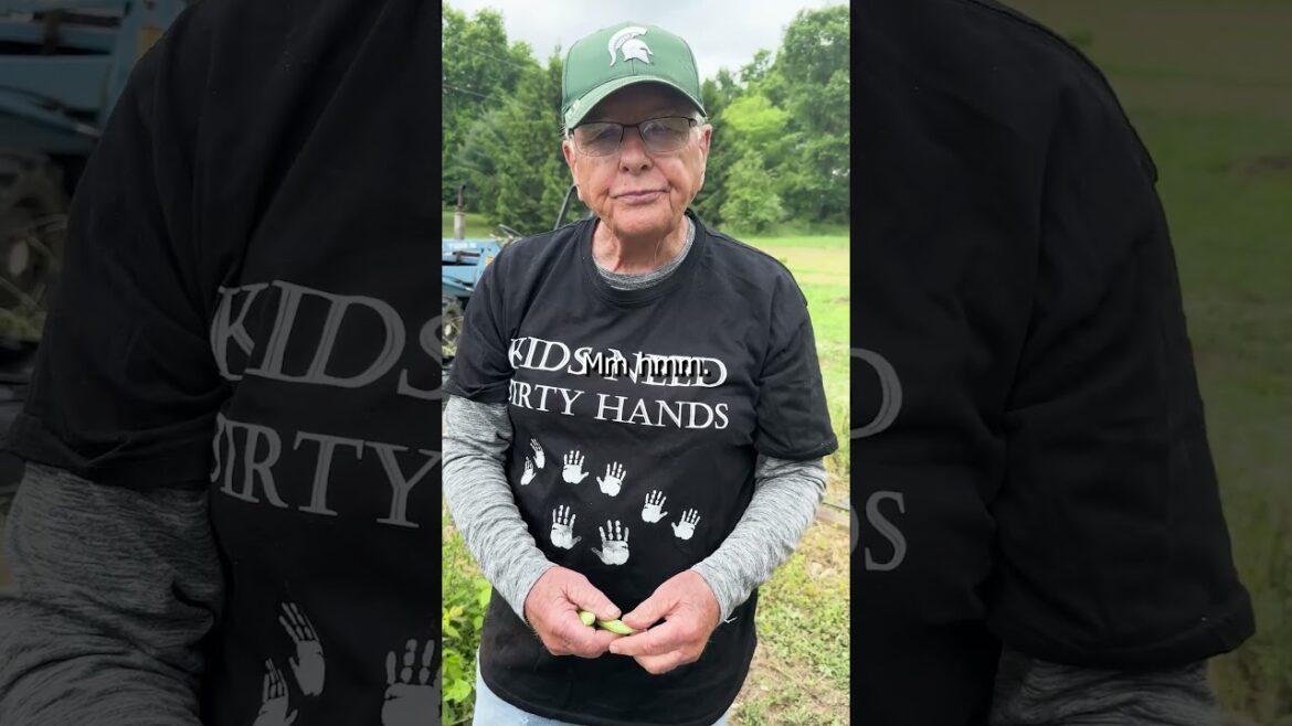 Why You Should Garden!