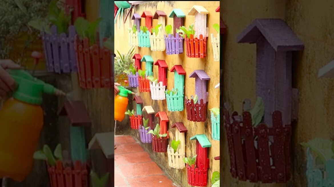 Amazing colorful vegetable garden on wall, growing vegetables at home