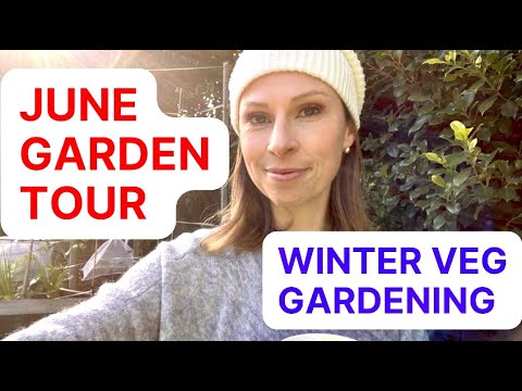 JUNE vegetable garden tour – PLUS What to plant right now! WINTER vegetable garden tour in Melbourne JUNE vegetable garden tour - PLUS What to plant right now! WINTER vegetable garden tour in Melbourne