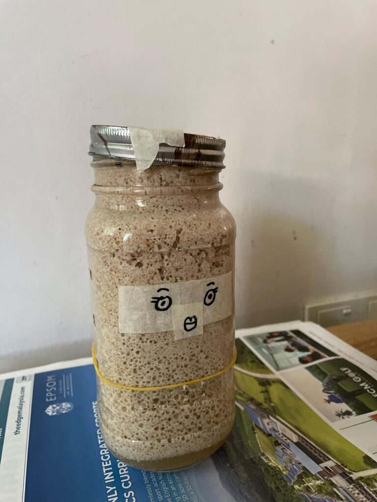 Day 2 Sourdough Starter