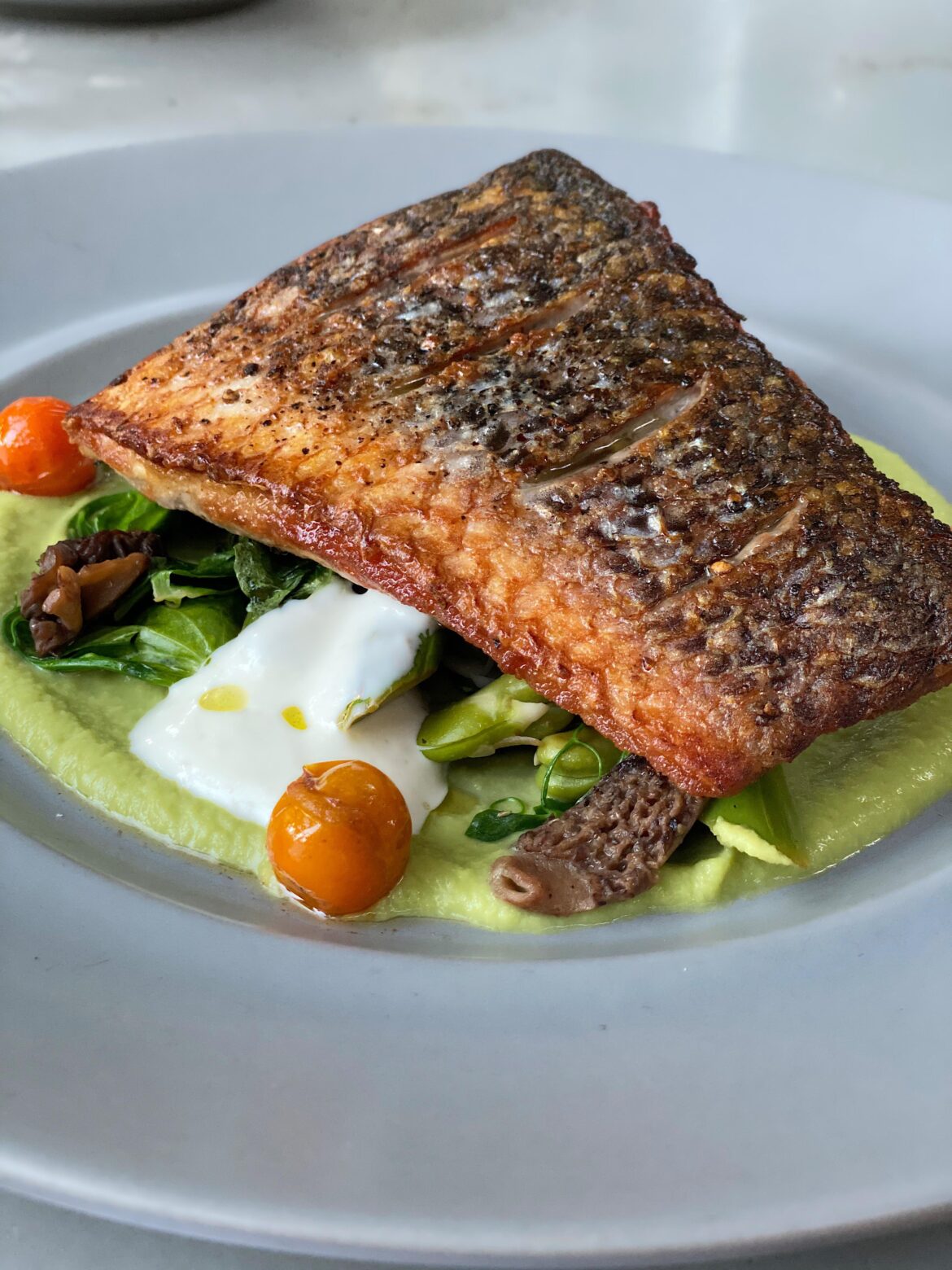 [pro/chef] Crispy skinned local striped bass, pea tendrils, fava beans, asparagus, morels, green garlic pea purée.