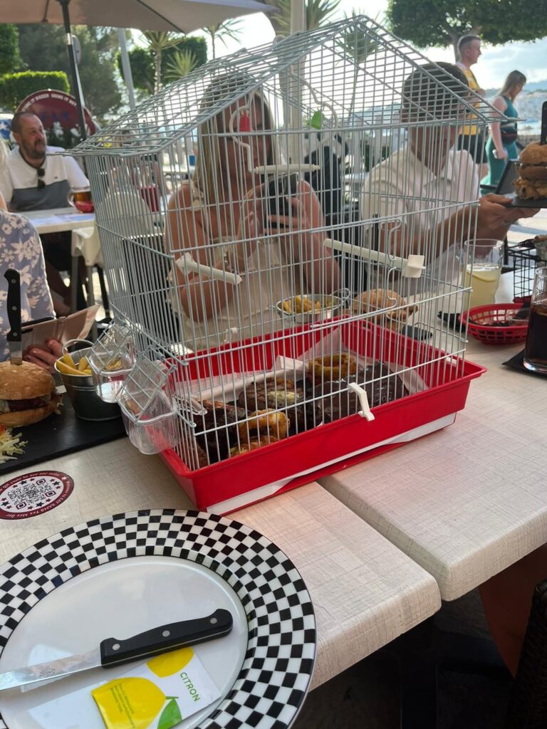 Tweet tweet meat plater