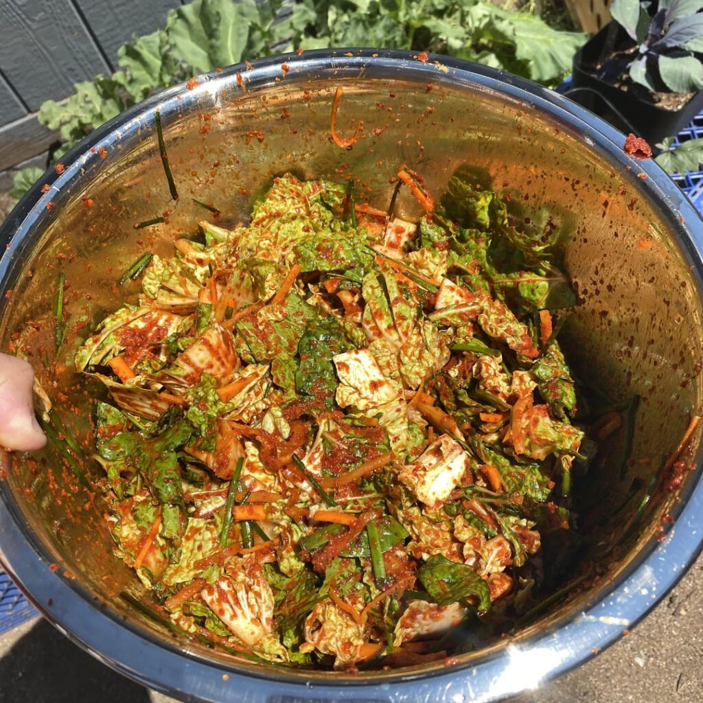 Found some local cabbage yesterday 🔥