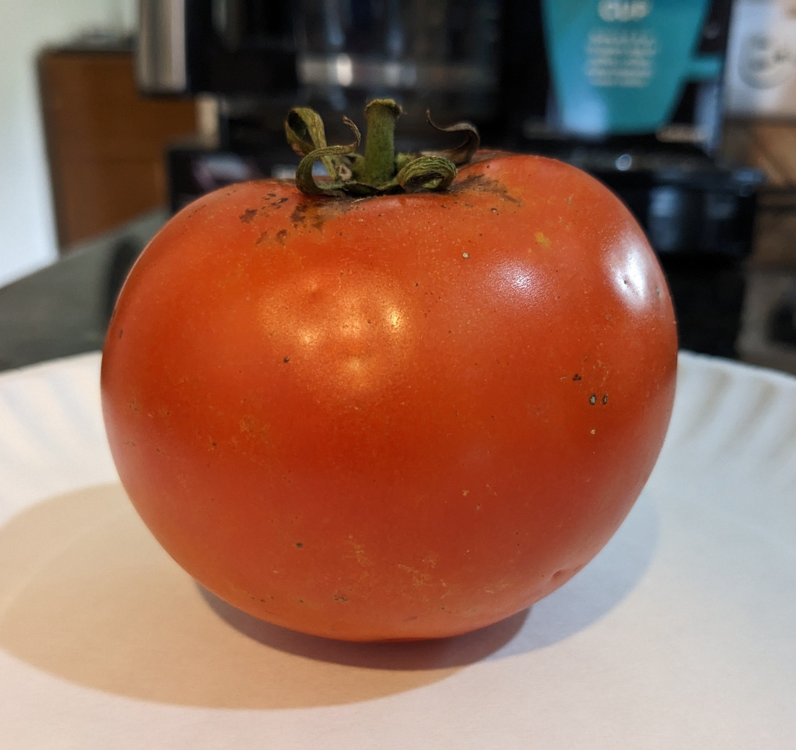 Jamestown tomatoes not the richest flavor, but a solid slicing tomato