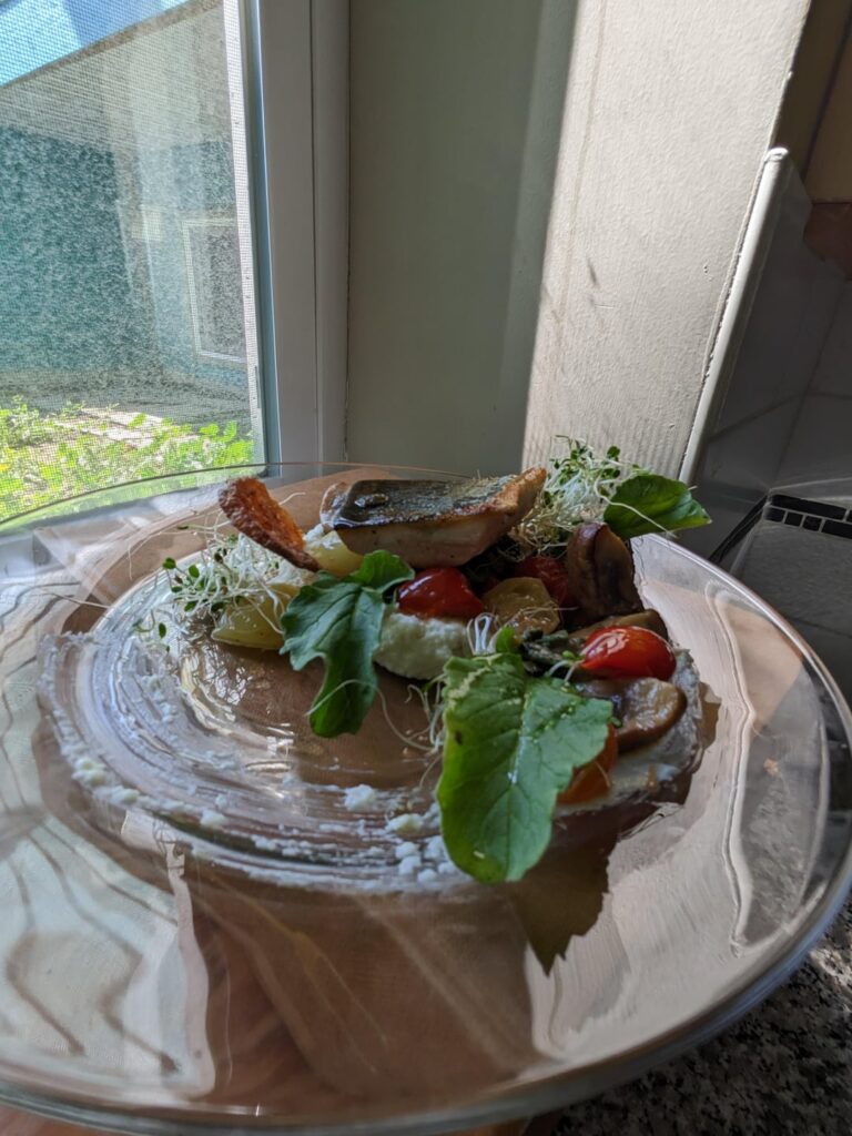 Pan seared salmon on bed of parsnip puree and assorted veg + greens.