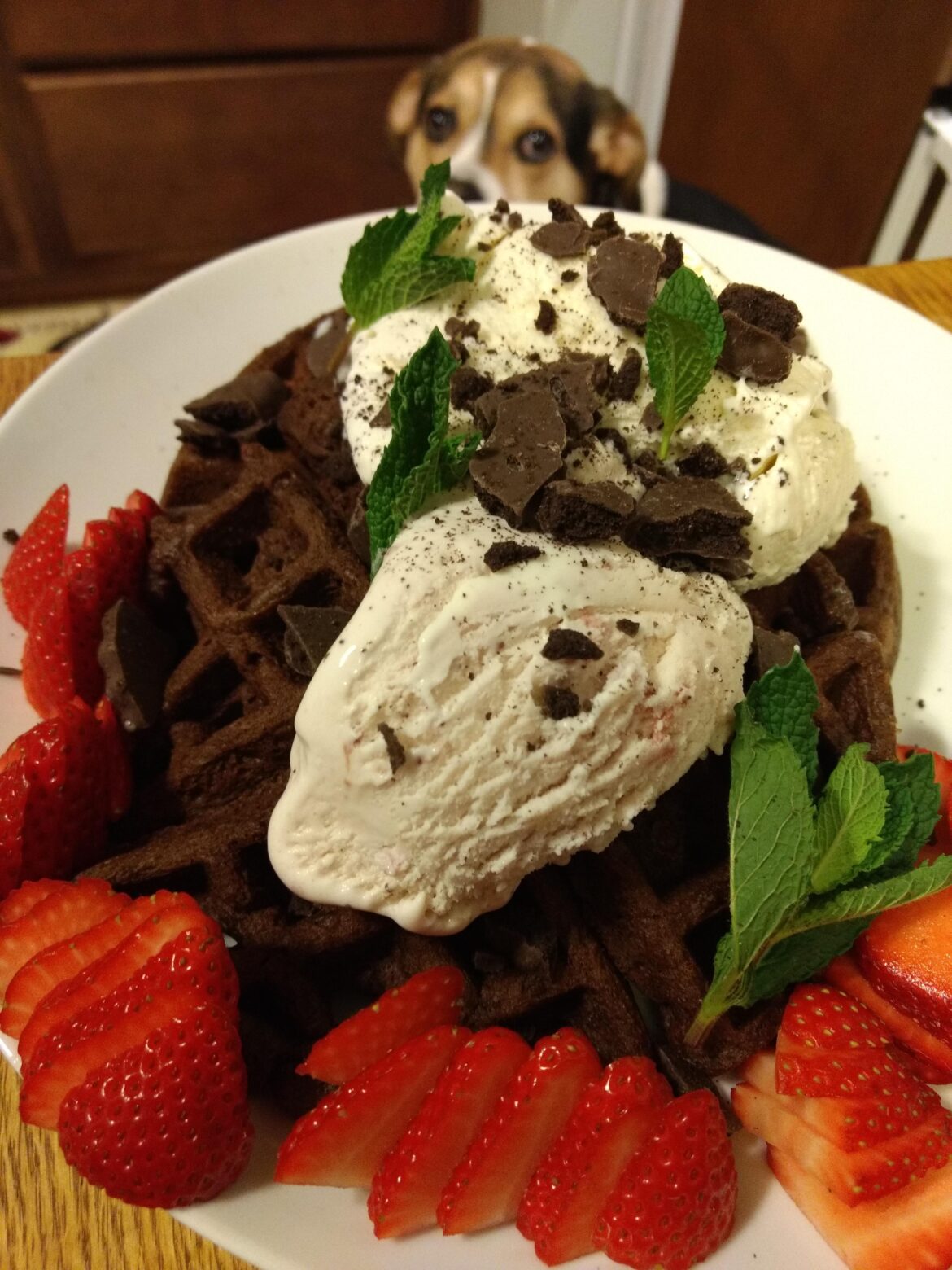 Cook chocolate cake in a waffle maker