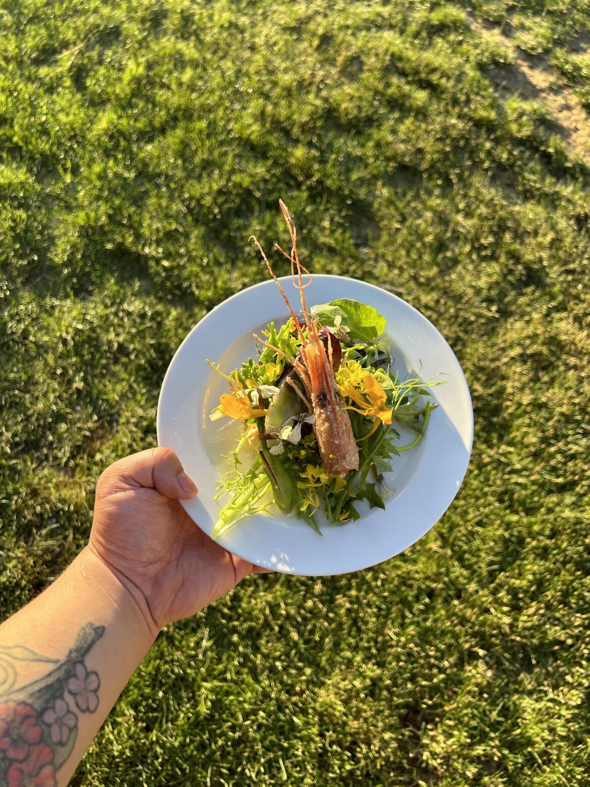 Chawanmushi, Mustard, Snow Pea, Flowers of Arugala,Nasturtium,Mustard & Spot Prawn Head