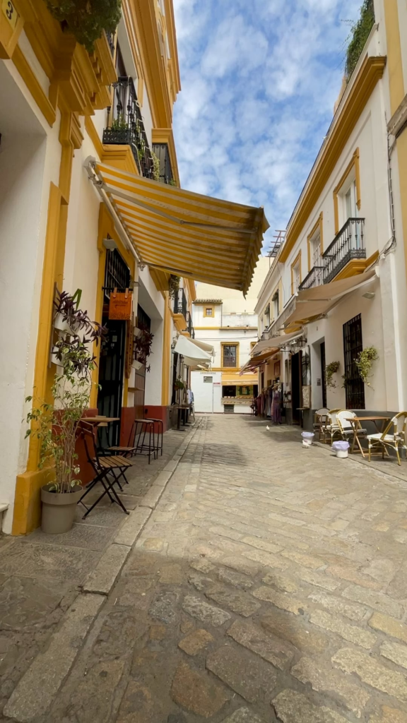 Speciality coffee in Seville, Spain 🇪🇸@Delatribu ( Colombian roast 🫘)