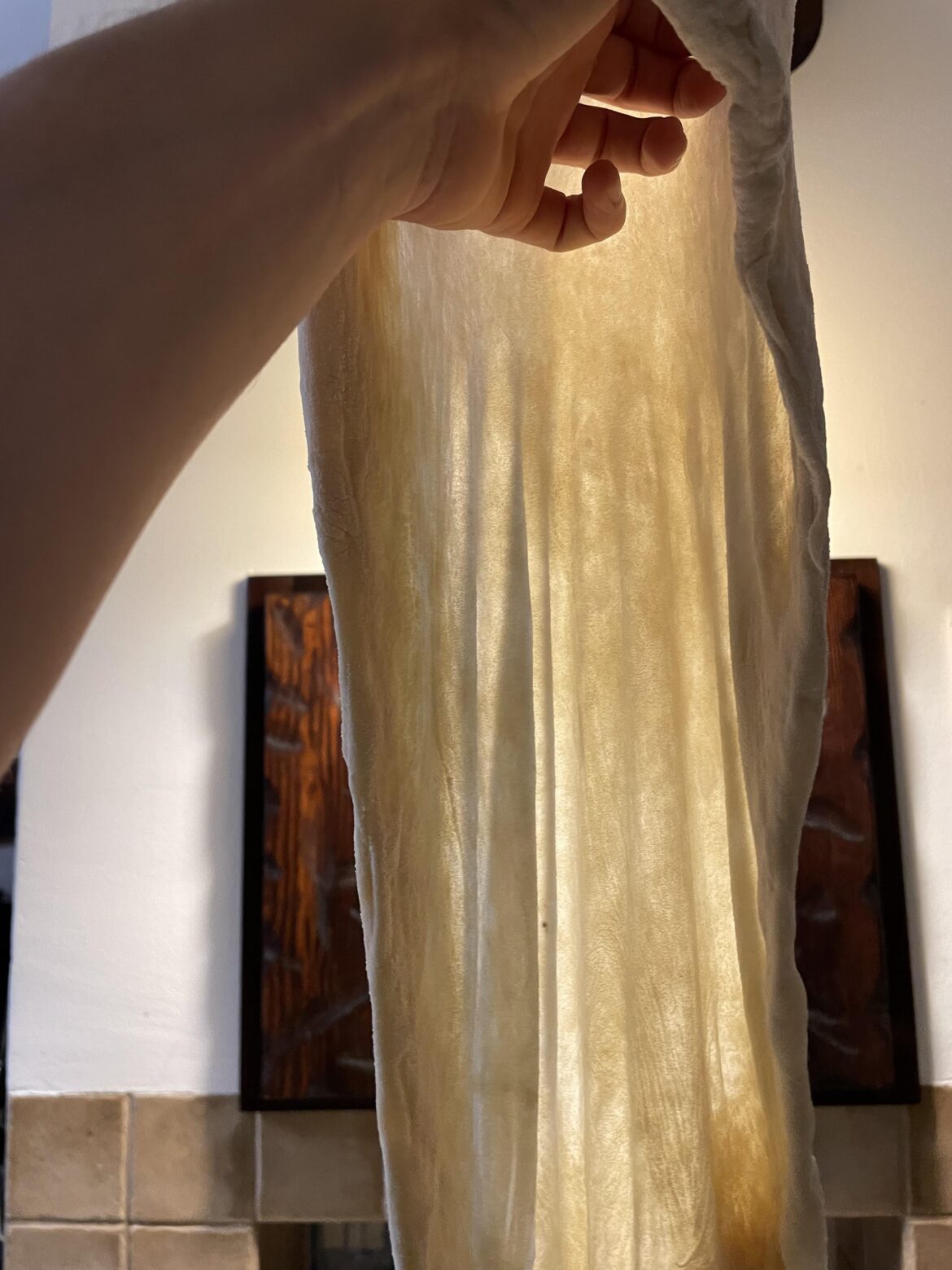 Last time I posted about struggling with the dough. Does passing the windowpane test rule out the possibility that I messed the kneading process up?