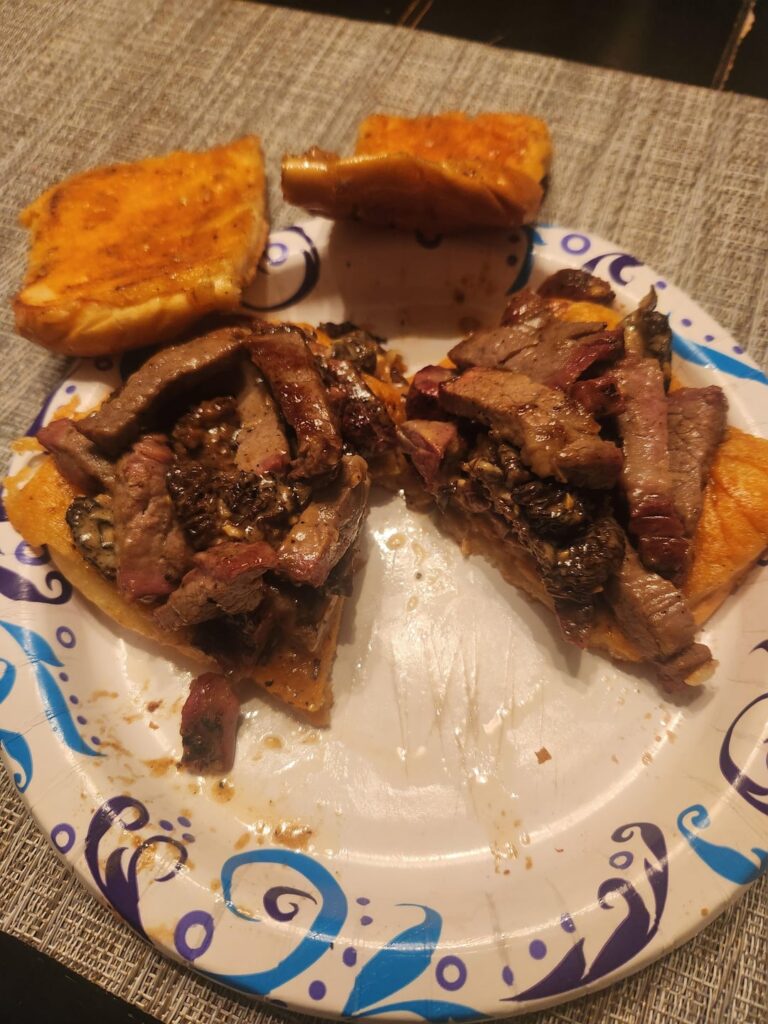 Marinated and smoked reverse seared jalepeno garlic TriTip W/ fresh morel cream sauce on parmesan crusted hot dog buns