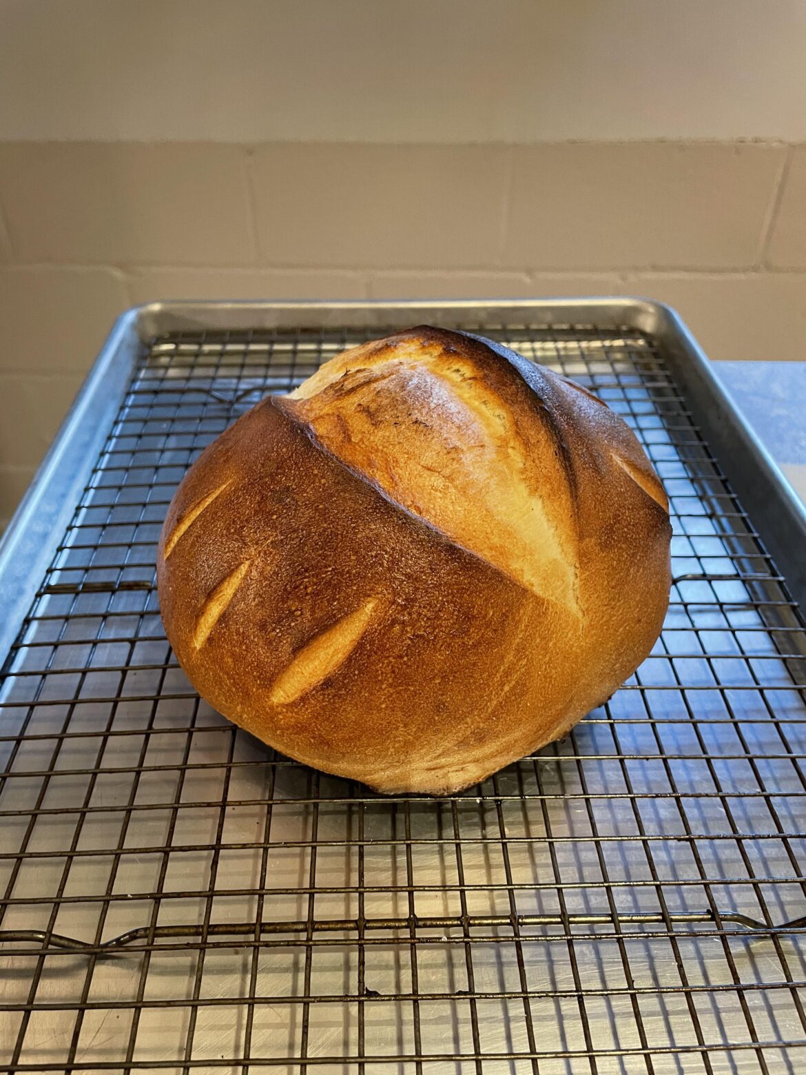 Publix pizza dough for the win! (in a pinch)