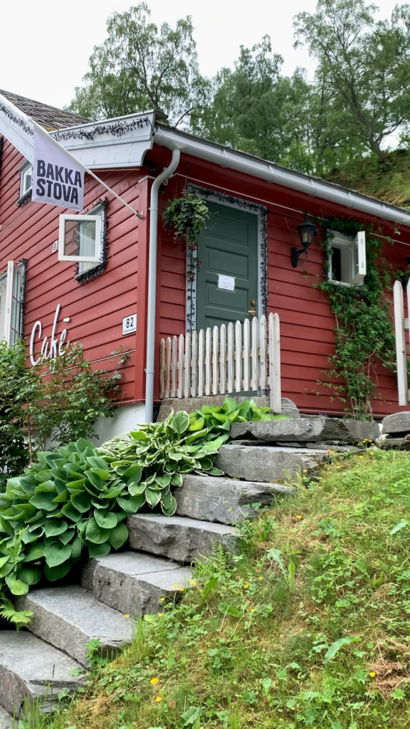 Speciality coffee in the Norwegian fjords, Flam🇳🇴 French press ( Peruvian coffee beans 🫘) enjoy coffee!