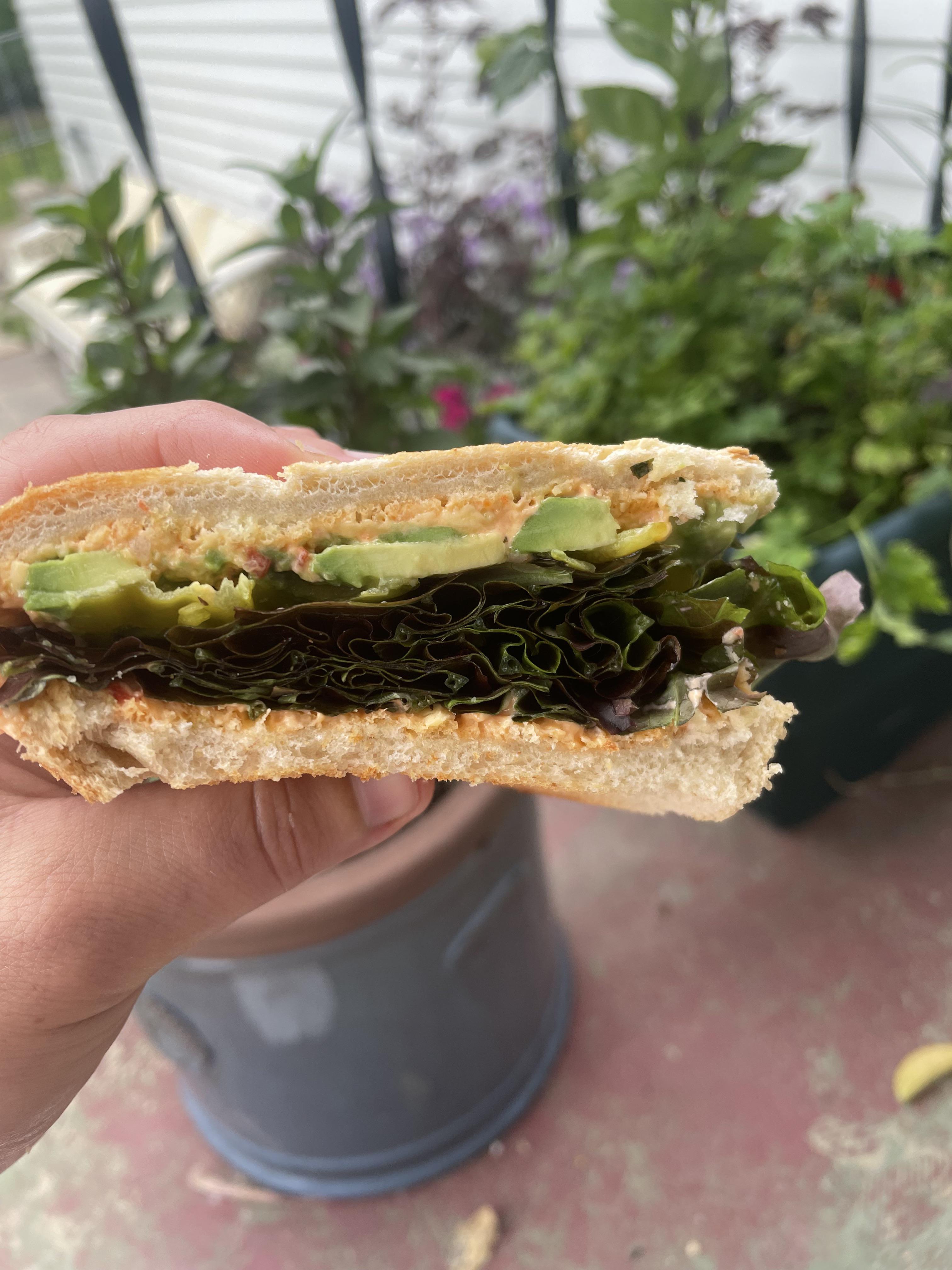 Another pregnancy vegetation sandwich. Sourdough, homemade pimento