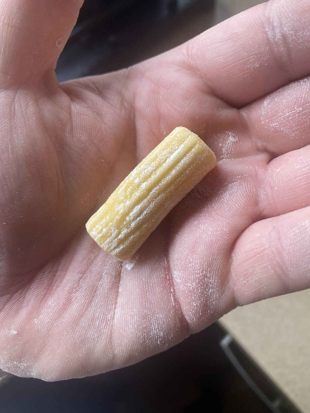 First time making pasta. Hand made rigatoni, no pasta machine. Dining