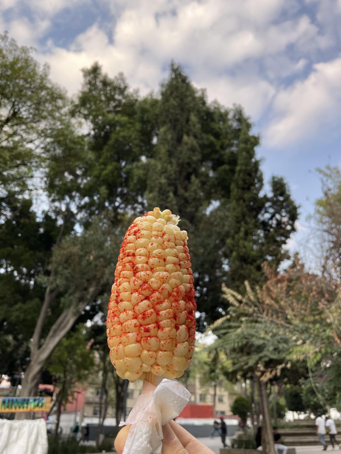 Street corn, Mexico City. Does anyone know the type of corn this is? I really loved the texture