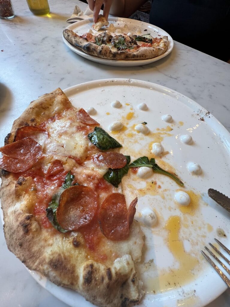 Where can I buy these plates?